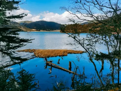 WagonBet Casino App Mobile